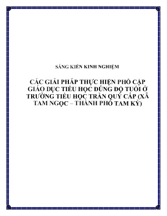 SKKN Các giải pháp thực hiện phổ cập giáo dục tiểu học đúng độ tuổi ở Trường Tiểu học Trần Quý Cáp (Xã Tam Ngọc – Thành phố Tam Kỳ)