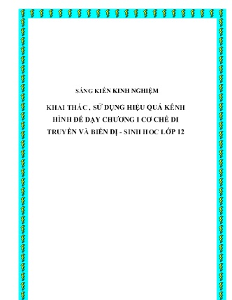 SKKN Khai thác, sử dụng hiệu quả kênh hình để dạy chương I cơ chế di truyền và biến dị - Sinh học Lớp 12