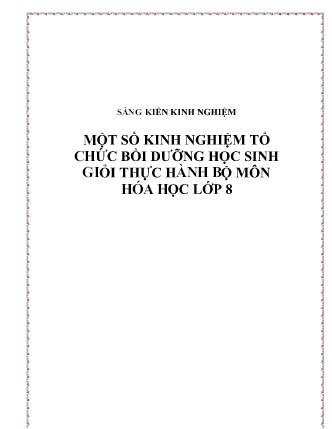 SKKN Một số kinh nghiệm tổ chức bồi dưỡng học sinh giỏi thực hành bộ môn Hóa Học Lớp 8