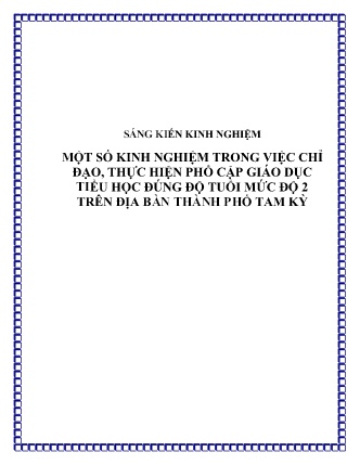 SKKN Một số kinh nghiệm trong việc chỉ đạo, thực hiện phổ cập giáo dục Tiểu học đúng độ tuổi mức độ 2 trên địa bàn Thành phố Tam Kỳ